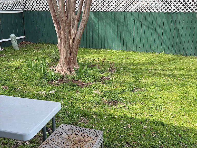 8810 Teresina Dr — Photo 33