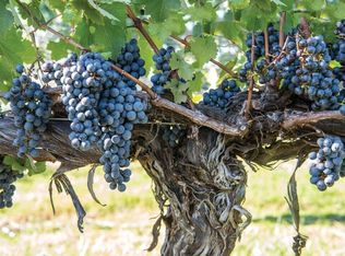 0 Court Sq, Harrisonburg, VA 22802