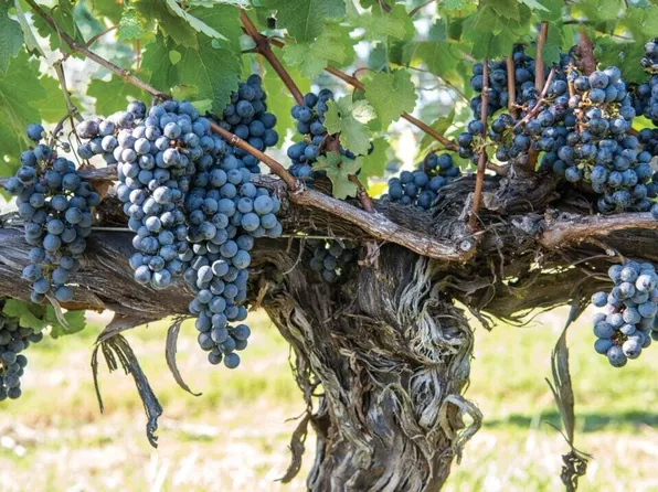 0 Court Sq, Harrisonburg, VA 22802