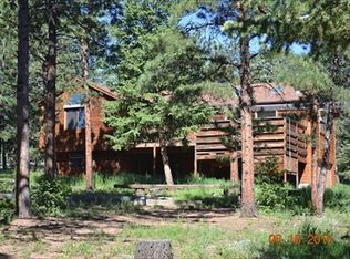299 Dawson Rd, Pine, CO 80470
