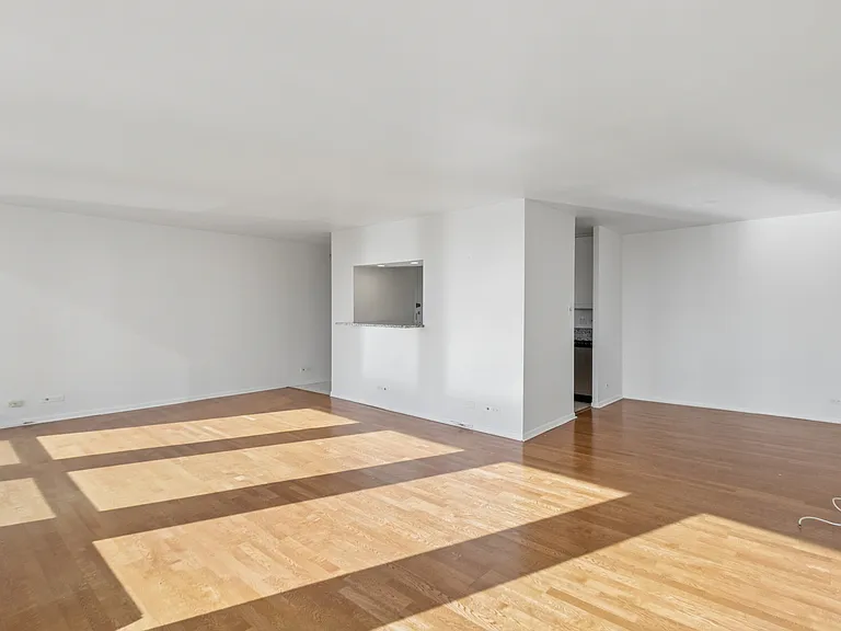 111 E Chestnut St #25F — Photo 5