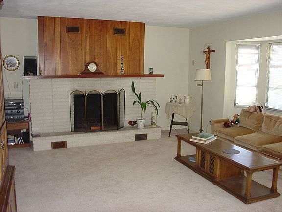 Wood Burning Fireplace