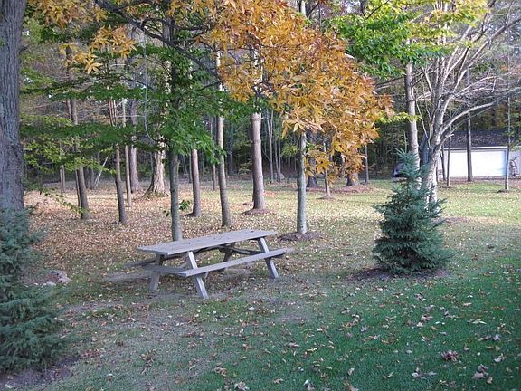 3.63 park like acres