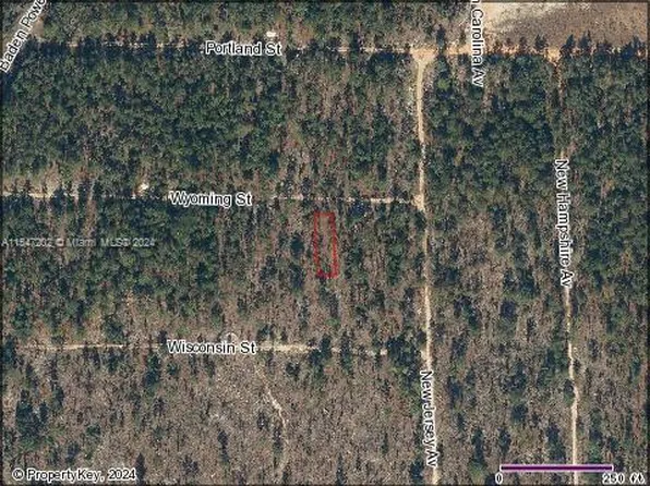 103 Wyoming St, Hawthorne, FL 32640