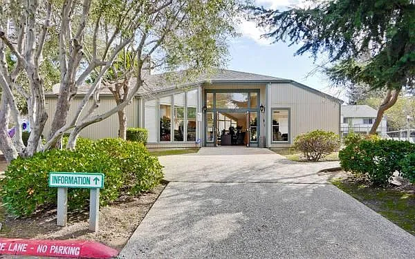 Sundale Dr — Photo 17