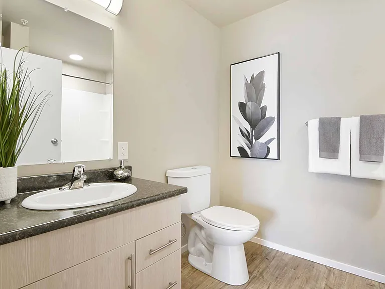 2604 Recplace Dr — Photo 13