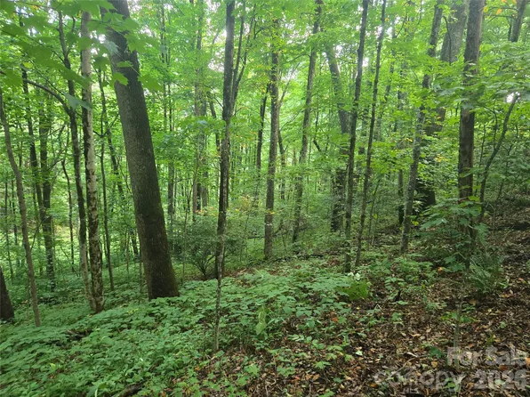 0 Rosemount Rd, Sylva, NC 28779