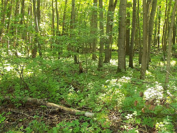 4th image of Lot 5 Howard Johnson Trail