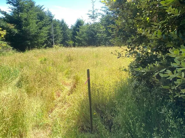 196 Ridge Rd, Whitethorn, CA 95589