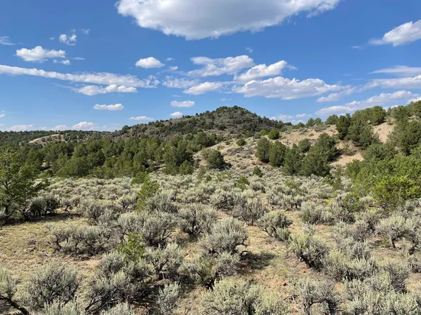 Tres Lomas Rd, Arroyo Hondo, NM 87513