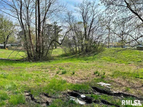 0 S Lewis St, Golconda, IL 62938