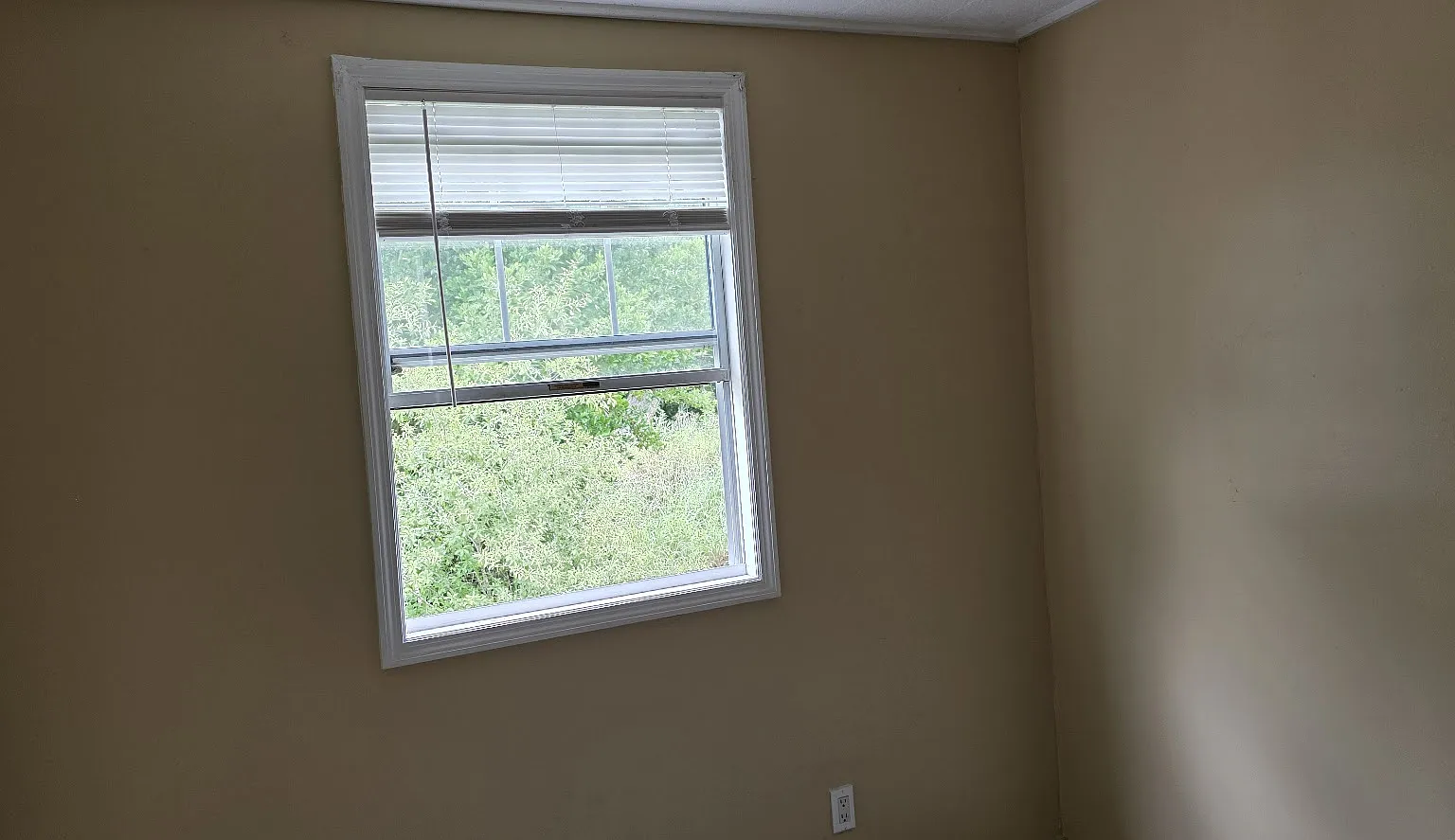 2 bed, $950 — Photo 4