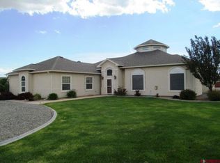 8731 Saddle Ridge Rd, Austin, CO 81410