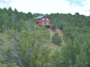 166 Andes Ter, Cripple Creek, CO 80813