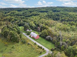 11036 Snyder Rd, Springville, NY 14141
