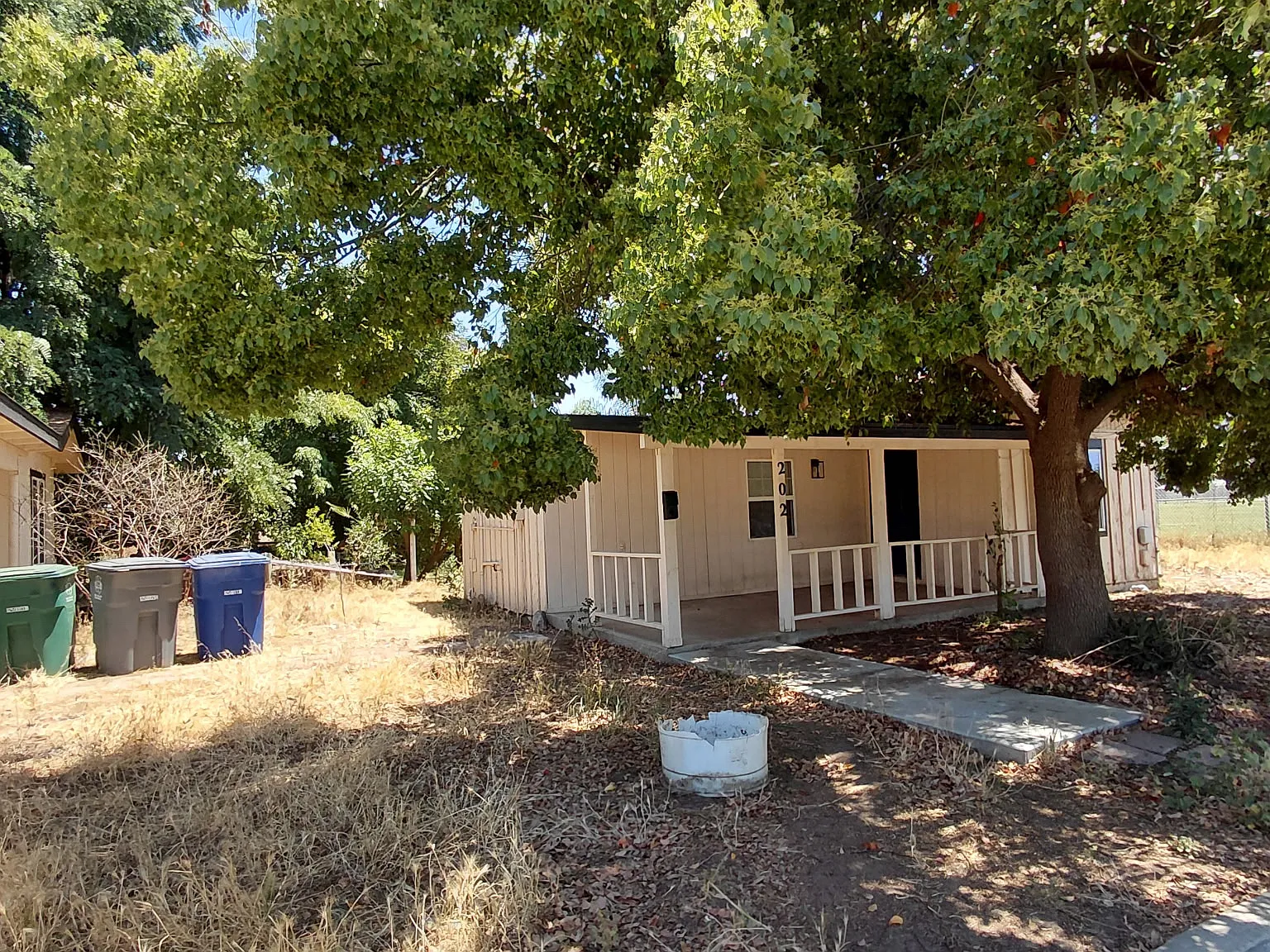 1 bed, 456 sqft, $1,200 — Photo 2