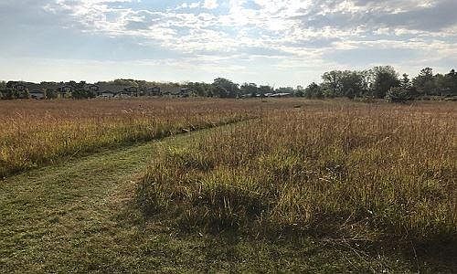 Lashbrook Park at end of block.