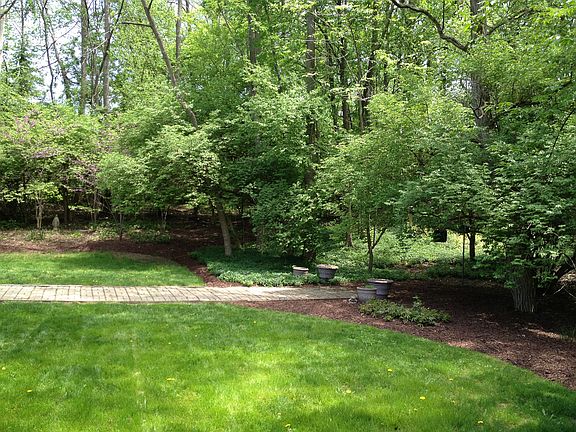 Private back yard