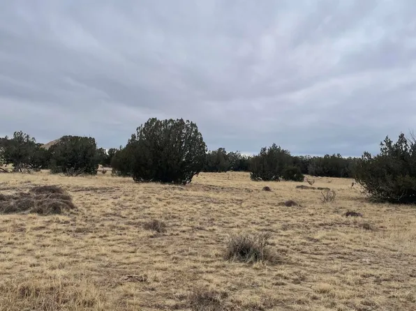 County Road 78.0, Model, CO 81059