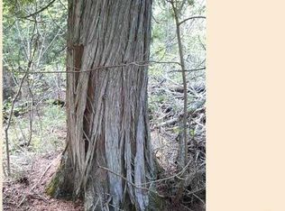 Xx Ward Lake Rd, Lutsen, MN 55612