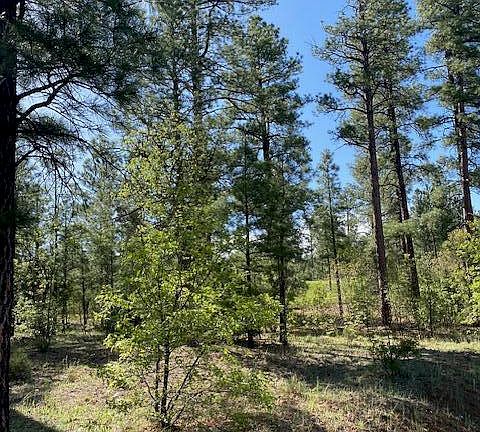 5th image of 2051 S Trillium Ln