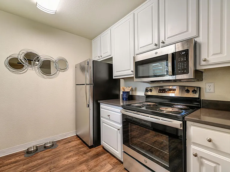 Stainless Steel Appliances