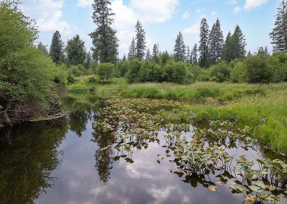 7XX Suther Ln, Elk, WA 99009 MLS 202317397 Zillow