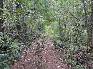 990 Yellow Springs Rd, Cosby, TN 37722