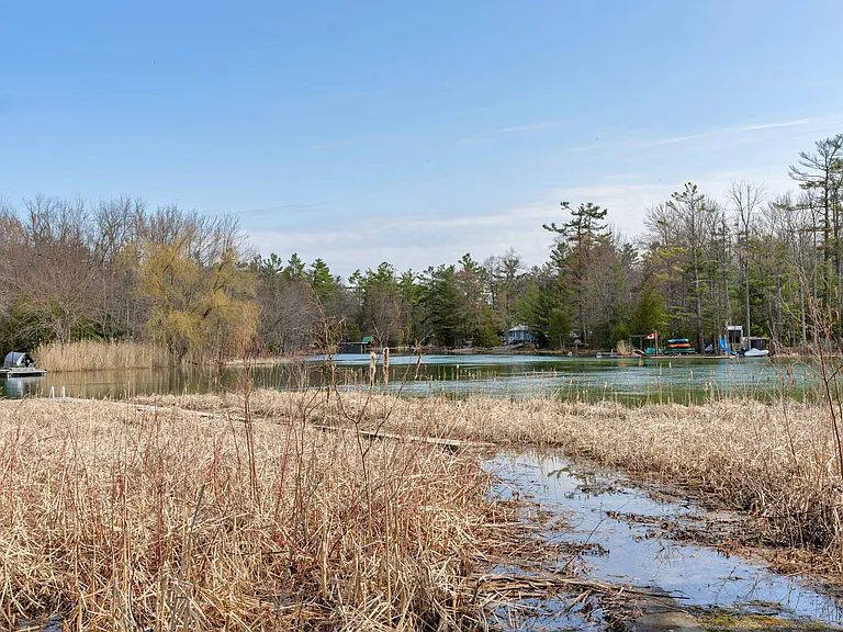 8149 Rama Rd #8149 RAMA RD WASHAG — Photo 40