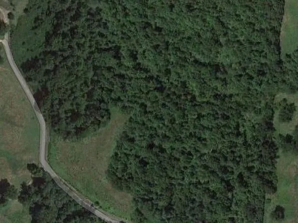 Yates Rd, Hornbeak, TN 38232