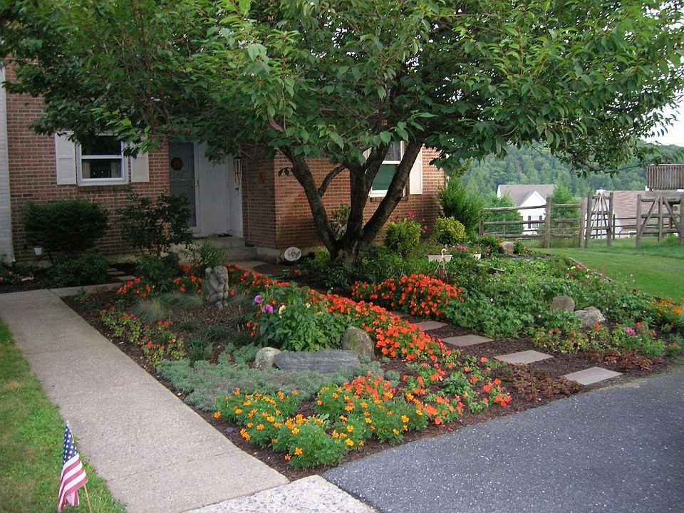 Front Yard!