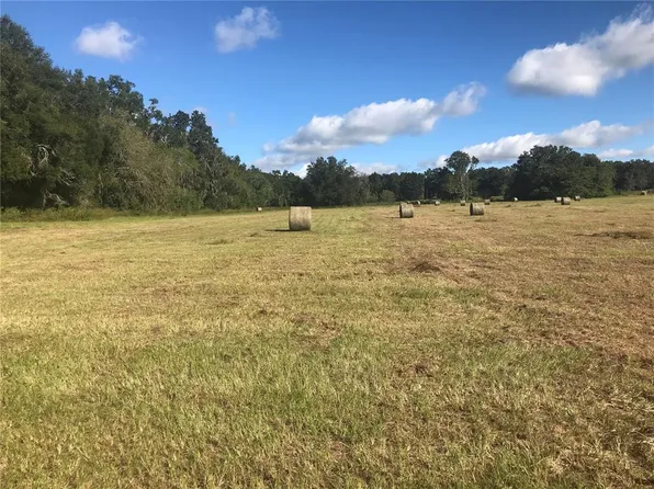 NW 133rd Ln Lot 1, Reddick, FL 32686