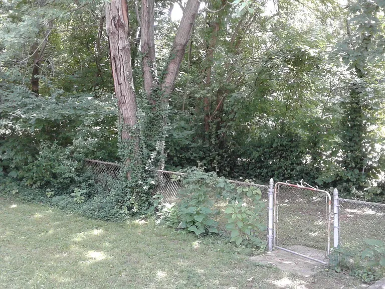 Back yard with dog yard