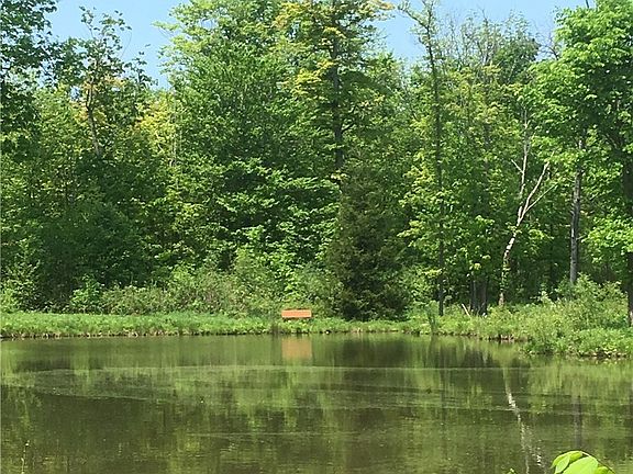 4th image of 0 Fowlers Mill Rd