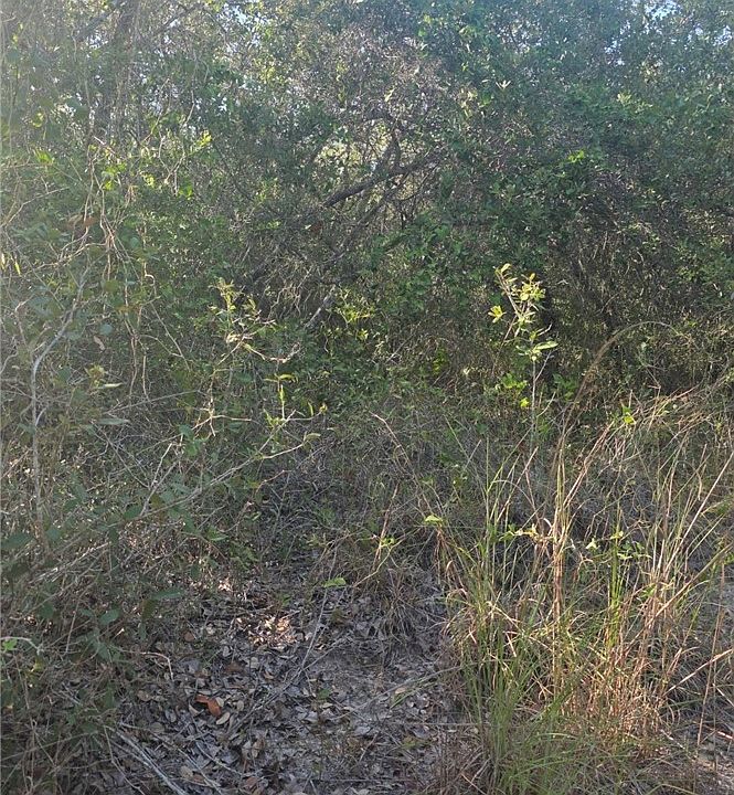 1st image of 0 4th St