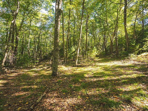 2nd image of Gator Mountain Rd