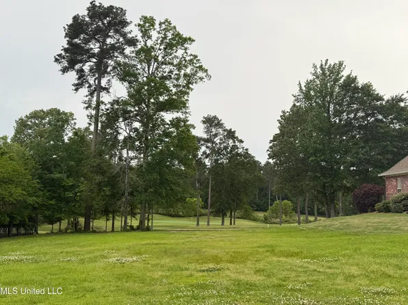 126 Woodlands Glen Cir, Brandon, MS 39047