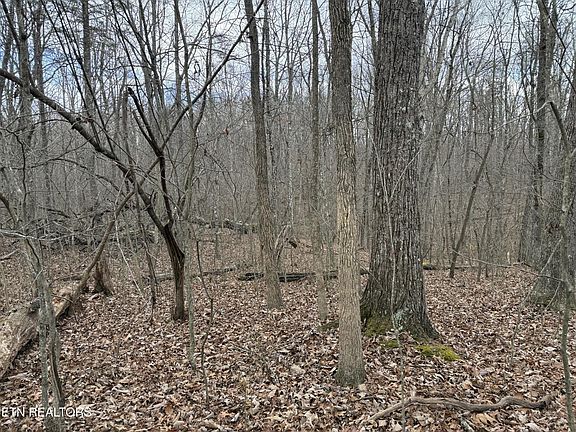 5th image of 0 Cumberland Lakes Dr Lot 4 & 5