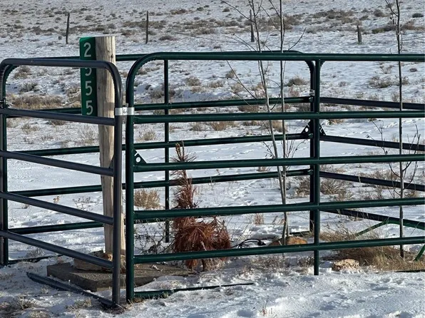 2555 Bare Trail LOT 242, Hartsel, CO 80449