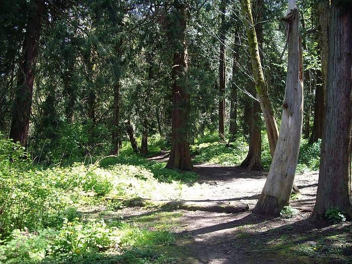 walking trails