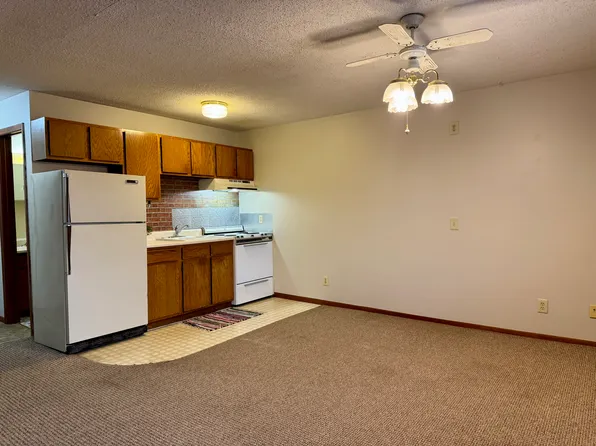 331 Atlantic Ave W #4, Dassel, MN 55325