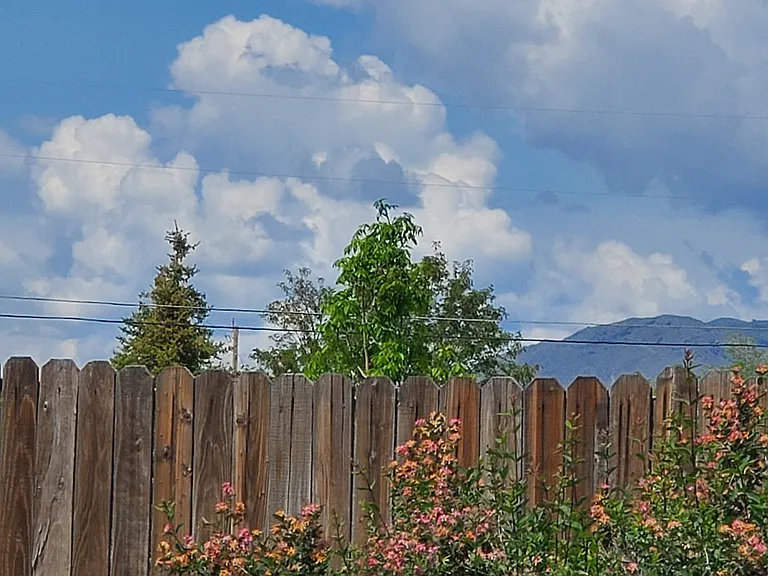 10175 Osage Ct — Photo 13