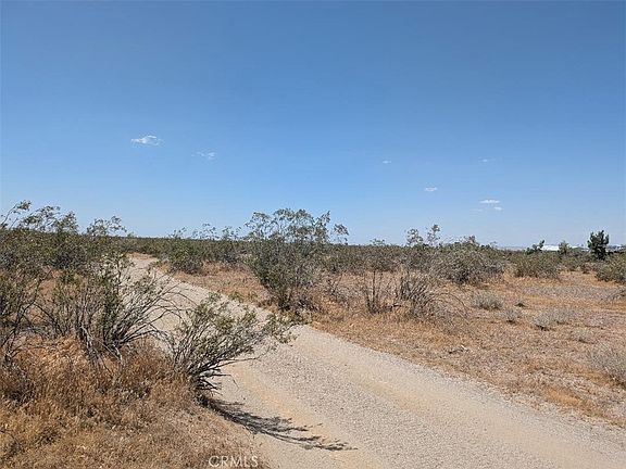 4th image of 7 Dos Palmas Rd