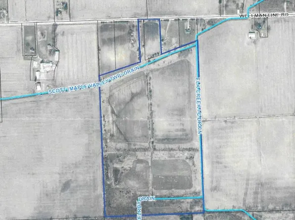 Wellman Line Rd, Brown City, MI 48416