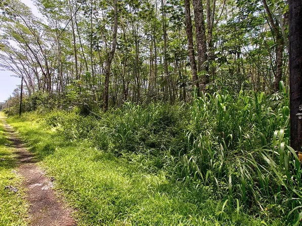 Paradise Rd Lot 279, Pahoa, HI 96778