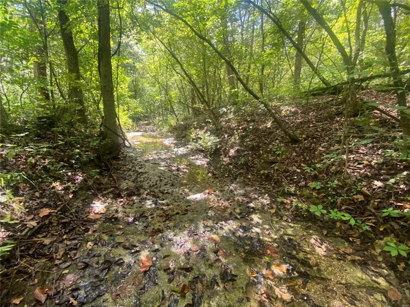 0 Beach Springs Rd, Dittmer, MO 63023