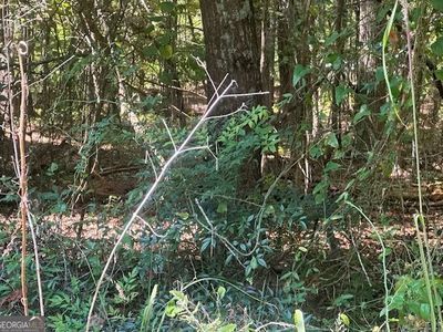 A 99 Possum Point Dr, Eatonton, GA, 31024