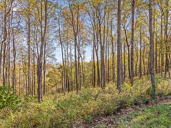 5th image of 375 Calloway Mountain Rd