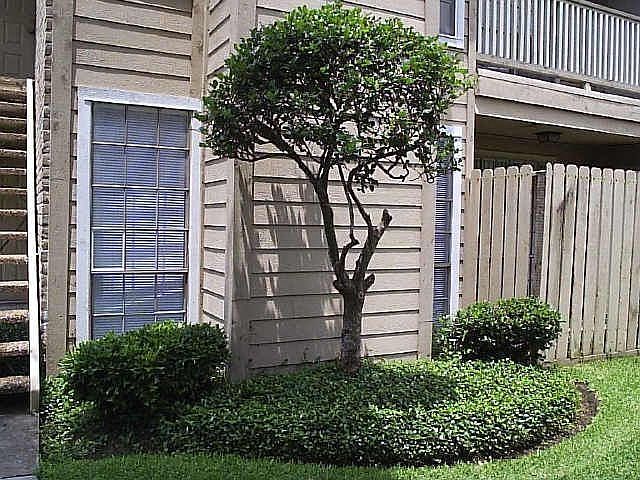 1st image of 10211 Sugar Branch Dr APT 431