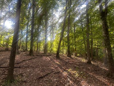 0 Heatherton Dr #13 & 14, Covington, VA, 24426